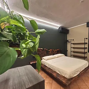 Corte Dei Pini Affittacamere